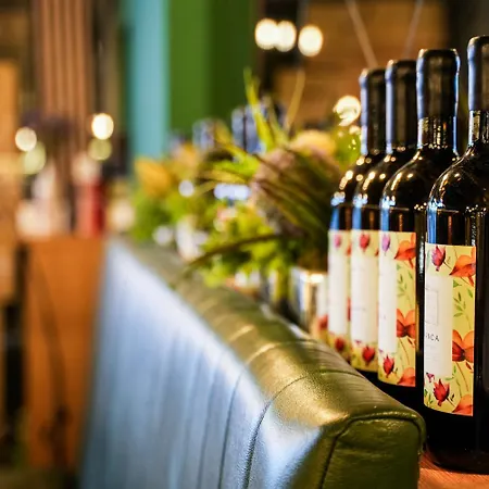 Boutique Aviator בלגרד